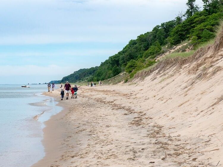 Picture of Saugatuck Dunes State Park