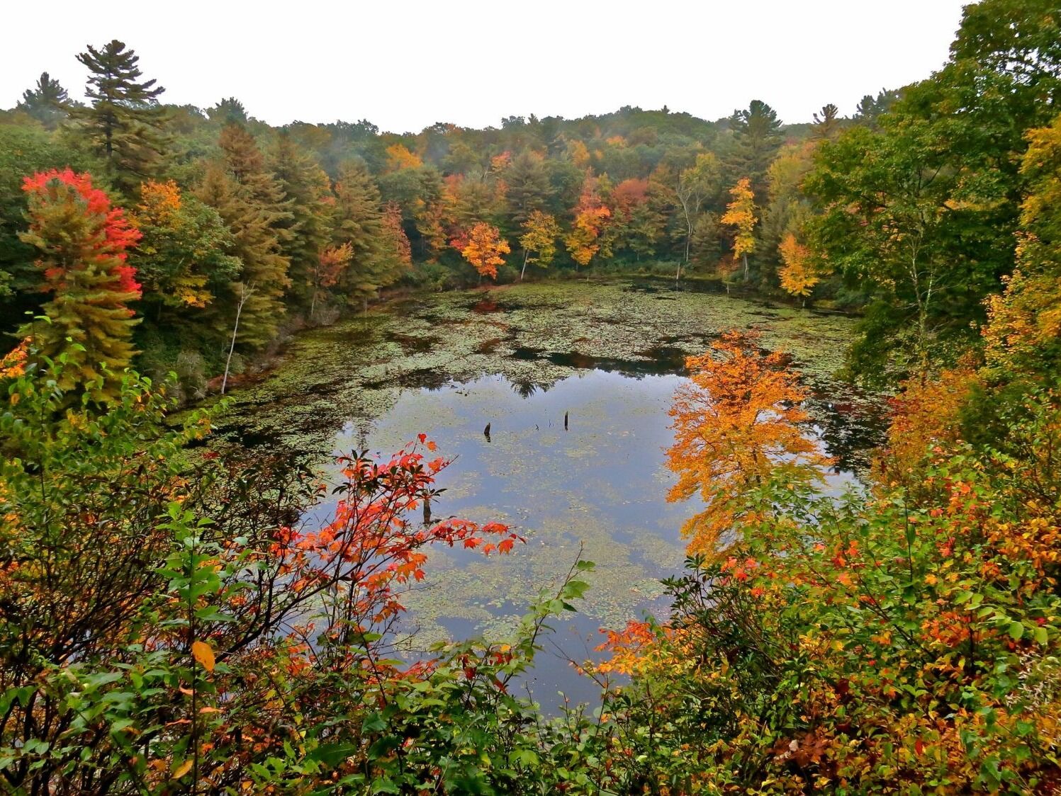 Picture of White Memorial Conservation Center