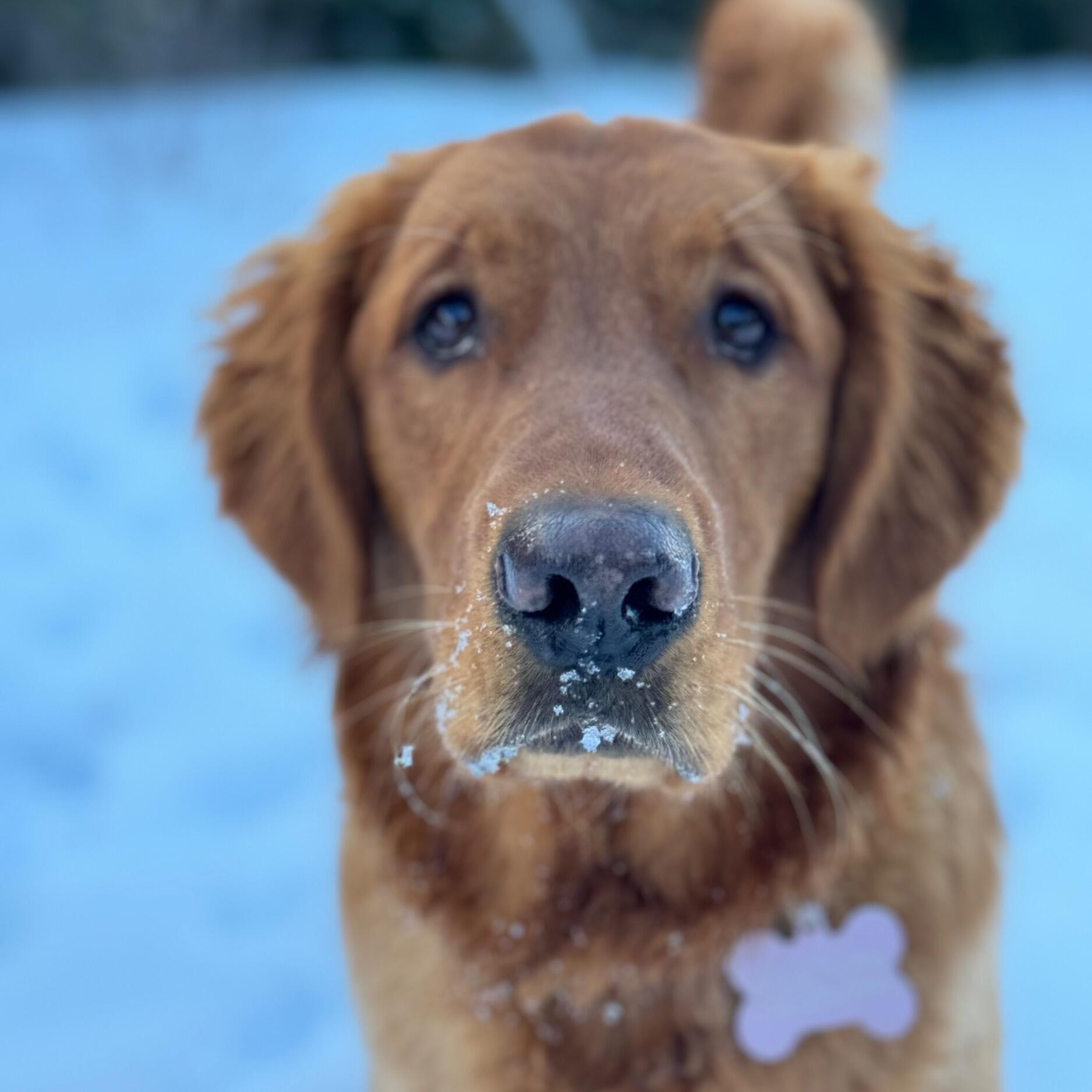 Lucy