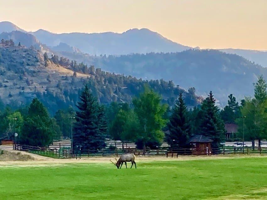 Picture of YMCA of the Rockies - Estes Park Center