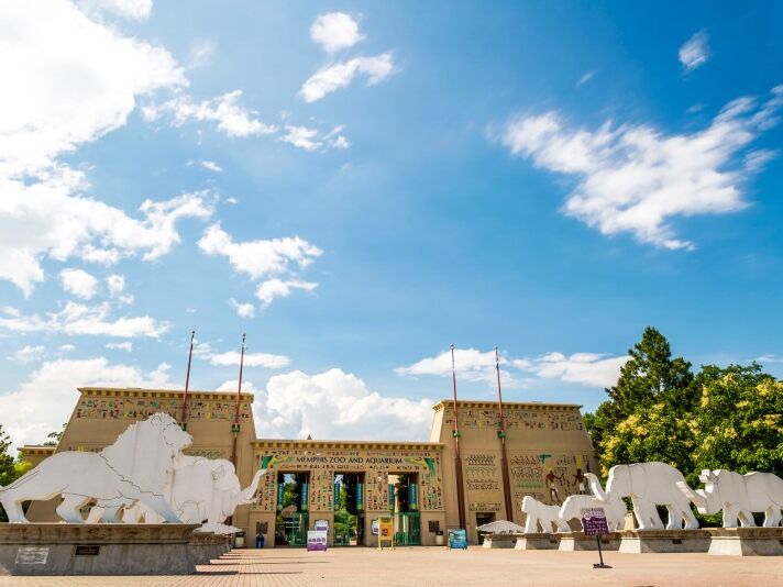 Picture of Memphis Zoo