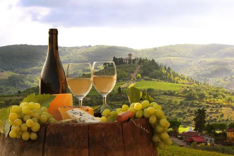 Picture of  Lucca: Guided Winery Tour with Wine Tasting