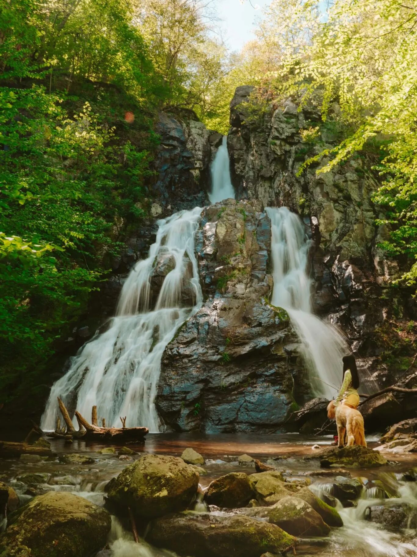Picture of Shenandoah National Park