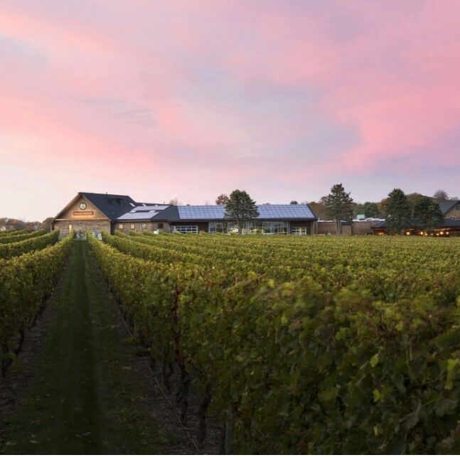 Picture of Newport Vineyards