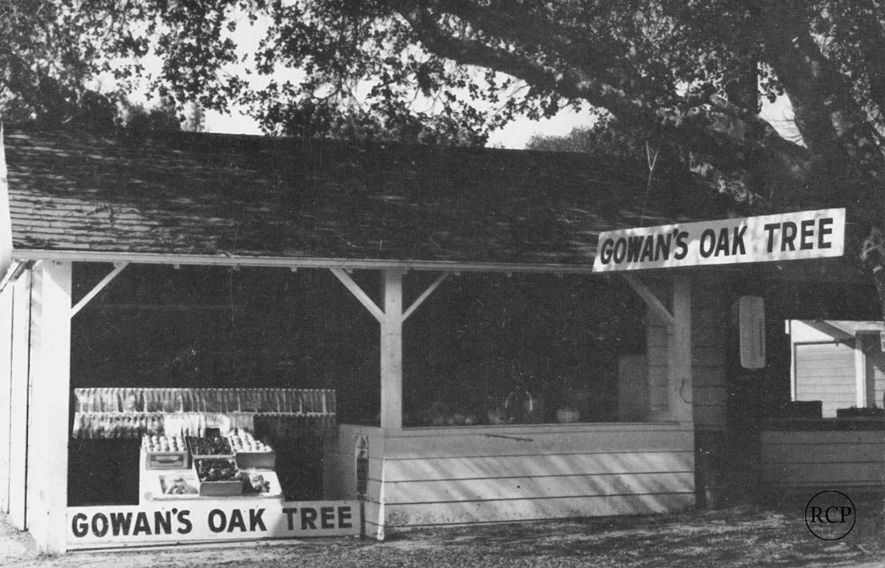 Picture of Gowan's Oak Tree