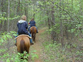 Picture of Riverside Riding Stables
