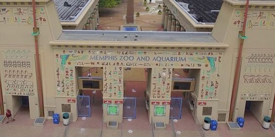 Picture of Memphis Zoo and Aquarium