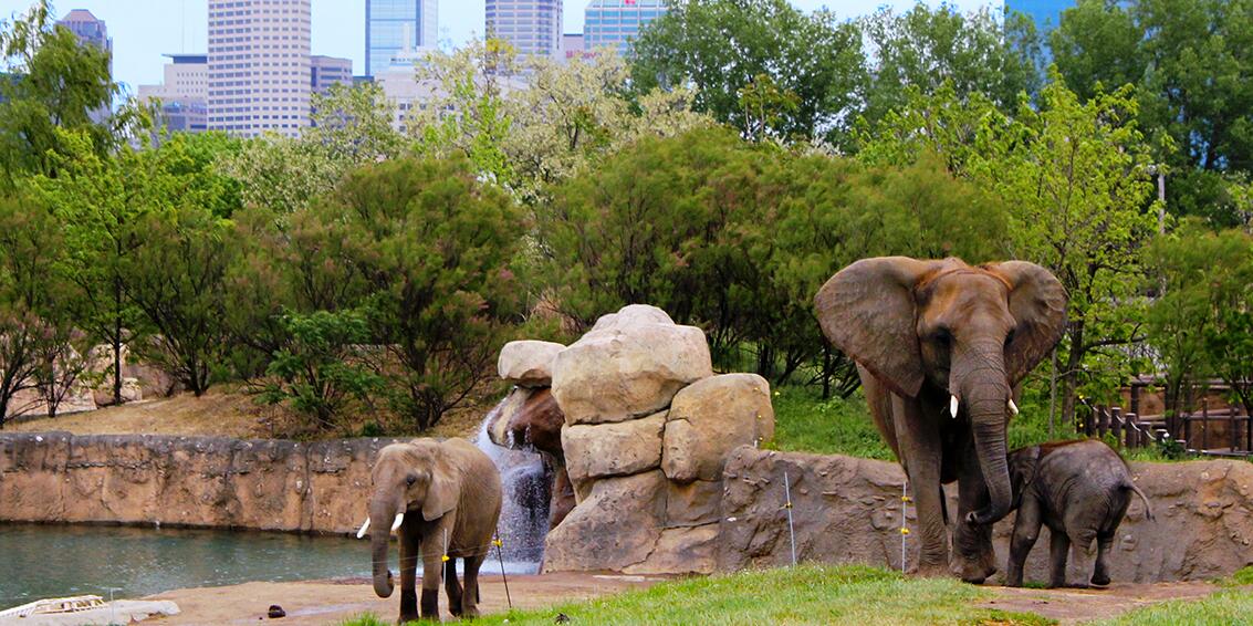 Picture of Indianapolis Zoo