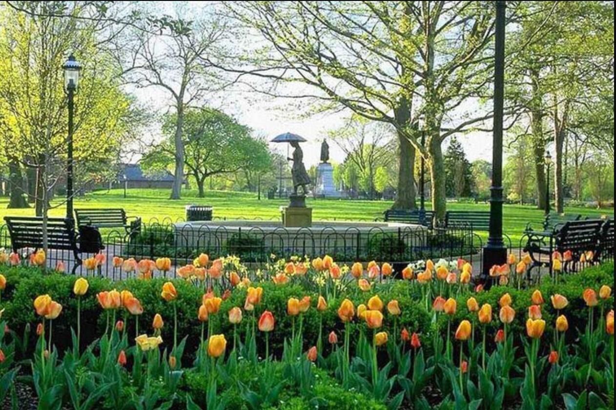 Picture of Schiller Park