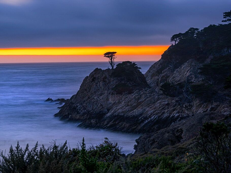 Picture of Point Lobos State Natural Reserve