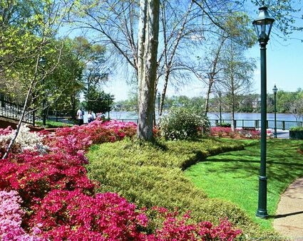 Picture of Augusta Riverwalk