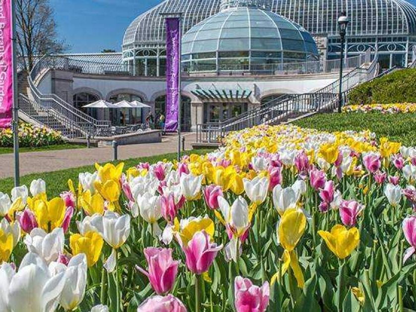 Picture of Phipps Conservatory and Botanical Gardens