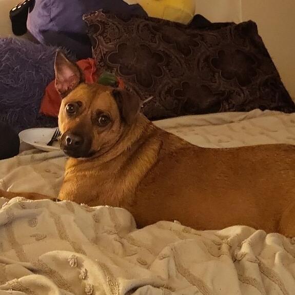 Princess Primrose 