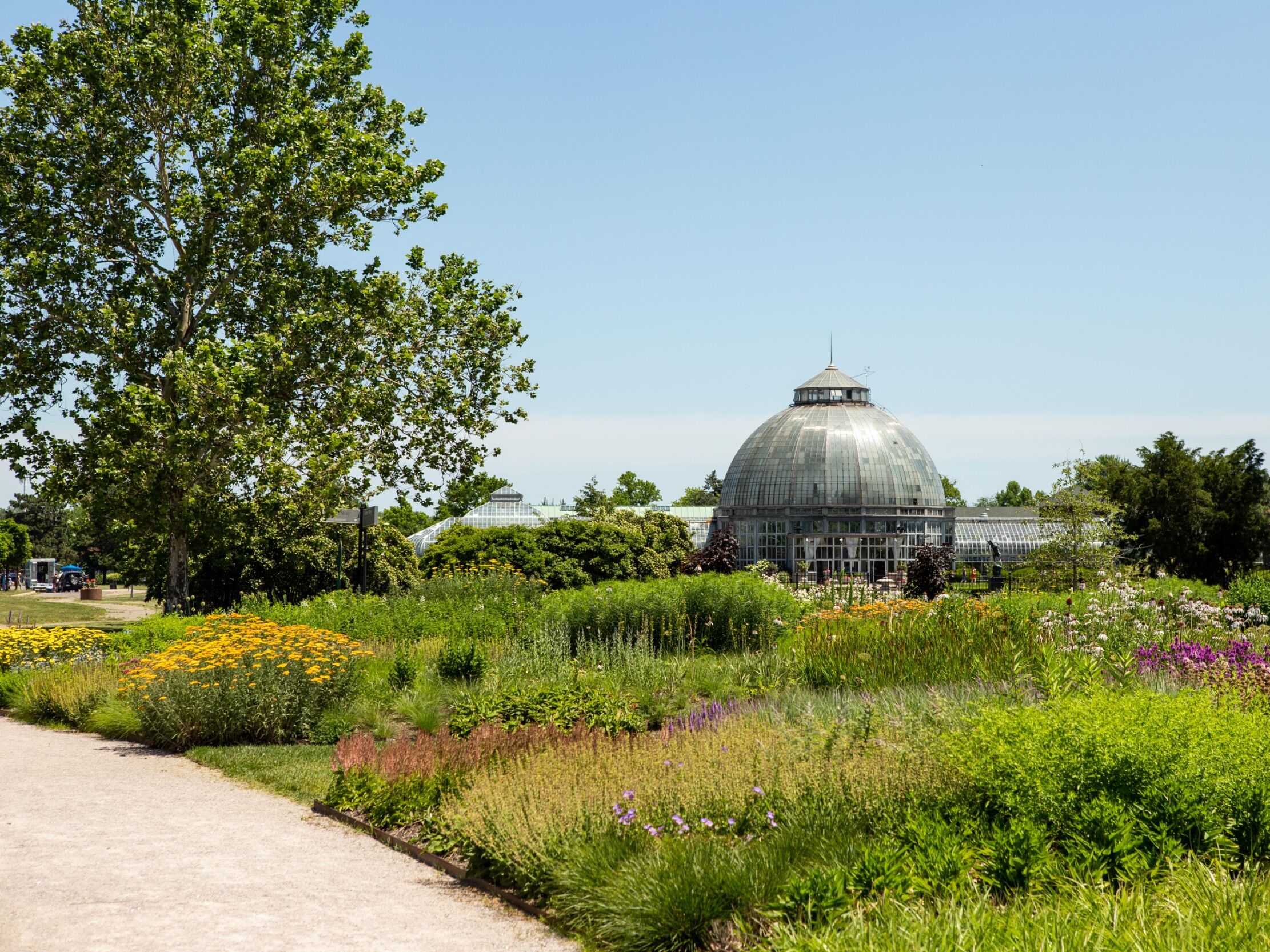 Picture of Belle Isle Park