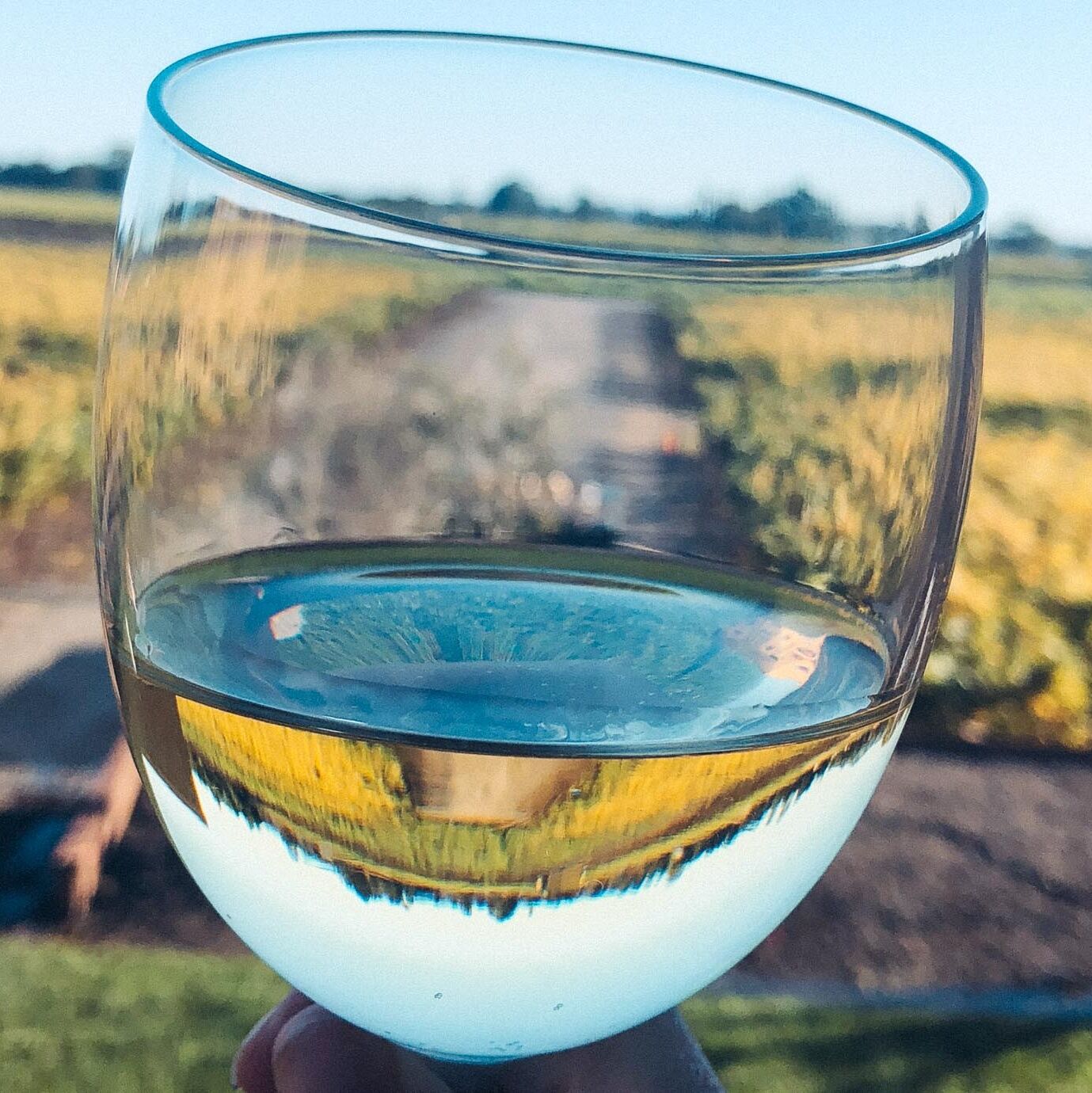 Picture of Wine Tasting 