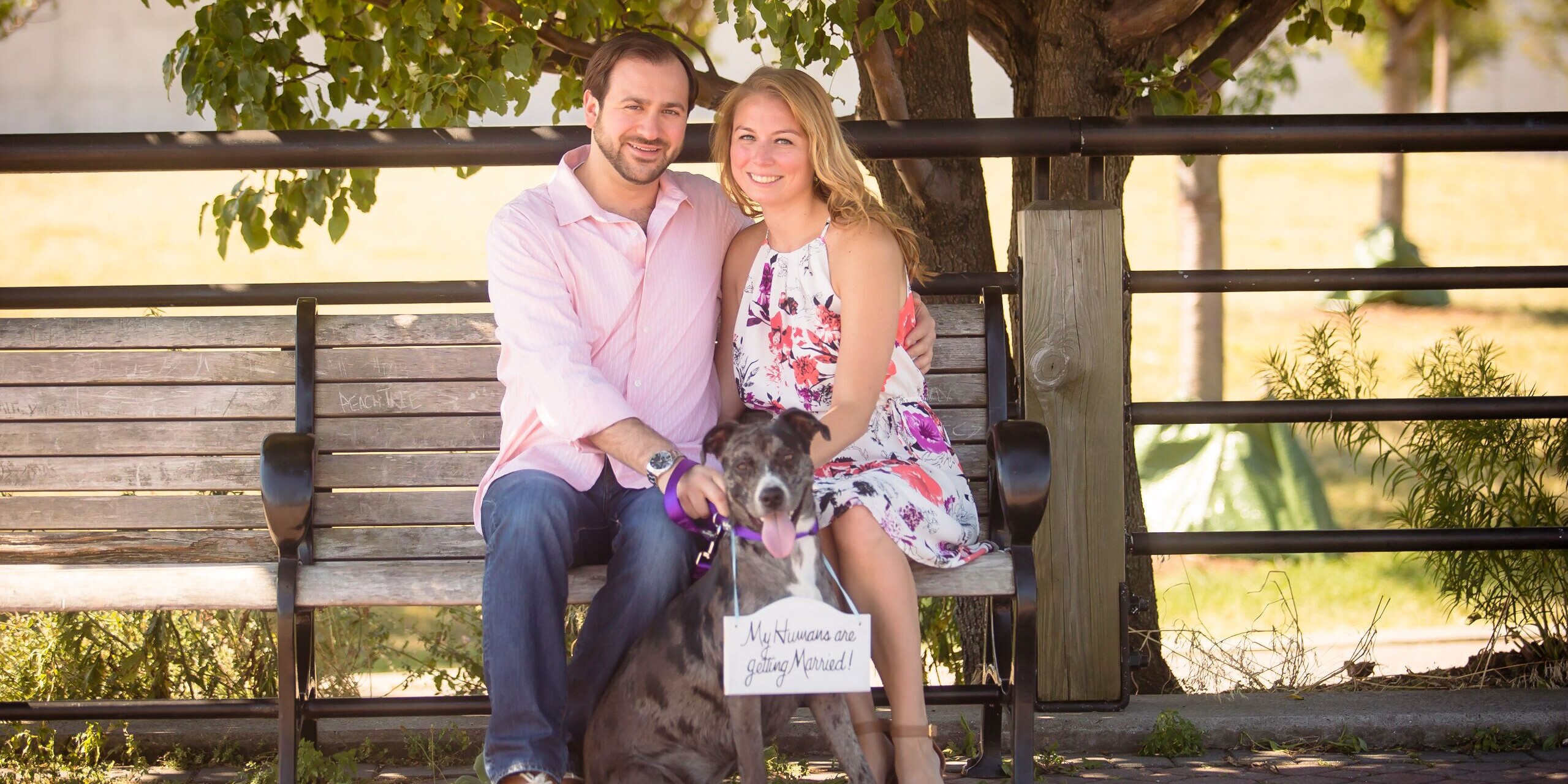 Eileen & Matthew Home Page Banner