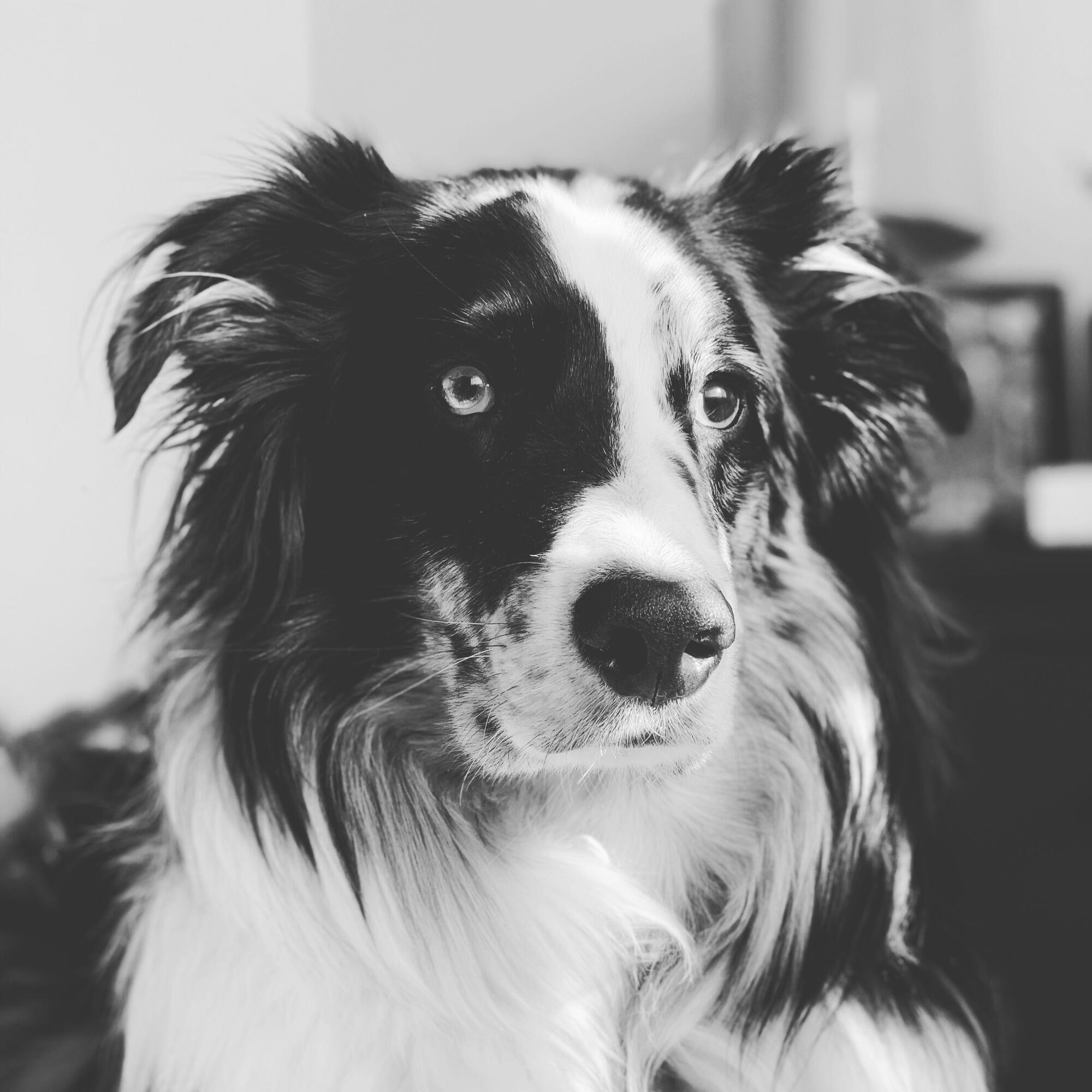 Finley McClain Bliss