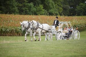 Elegant Wedding Horse and Carriage