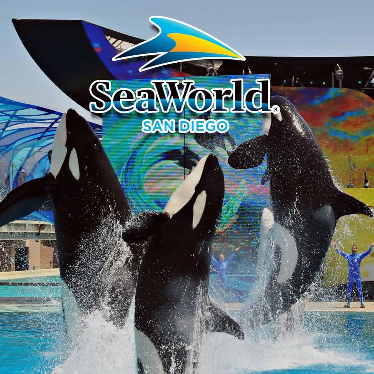 Picture of SeaWorld San Diego