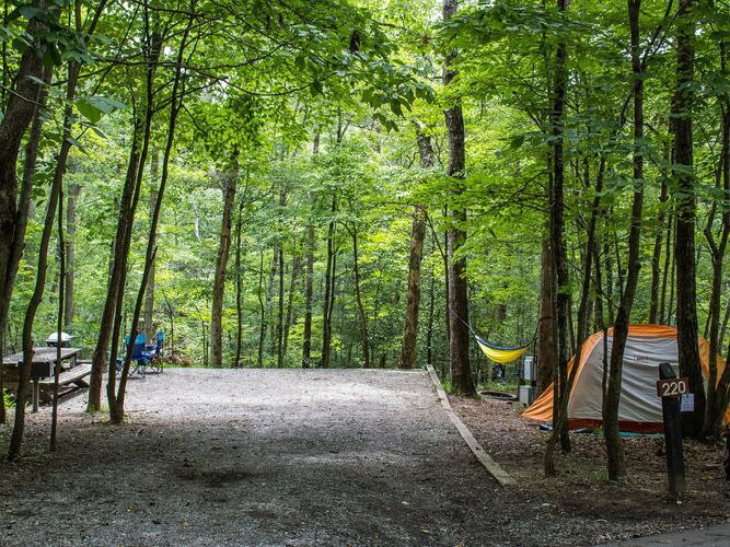 Picture of Fall Creek Falls State Park - Camping
