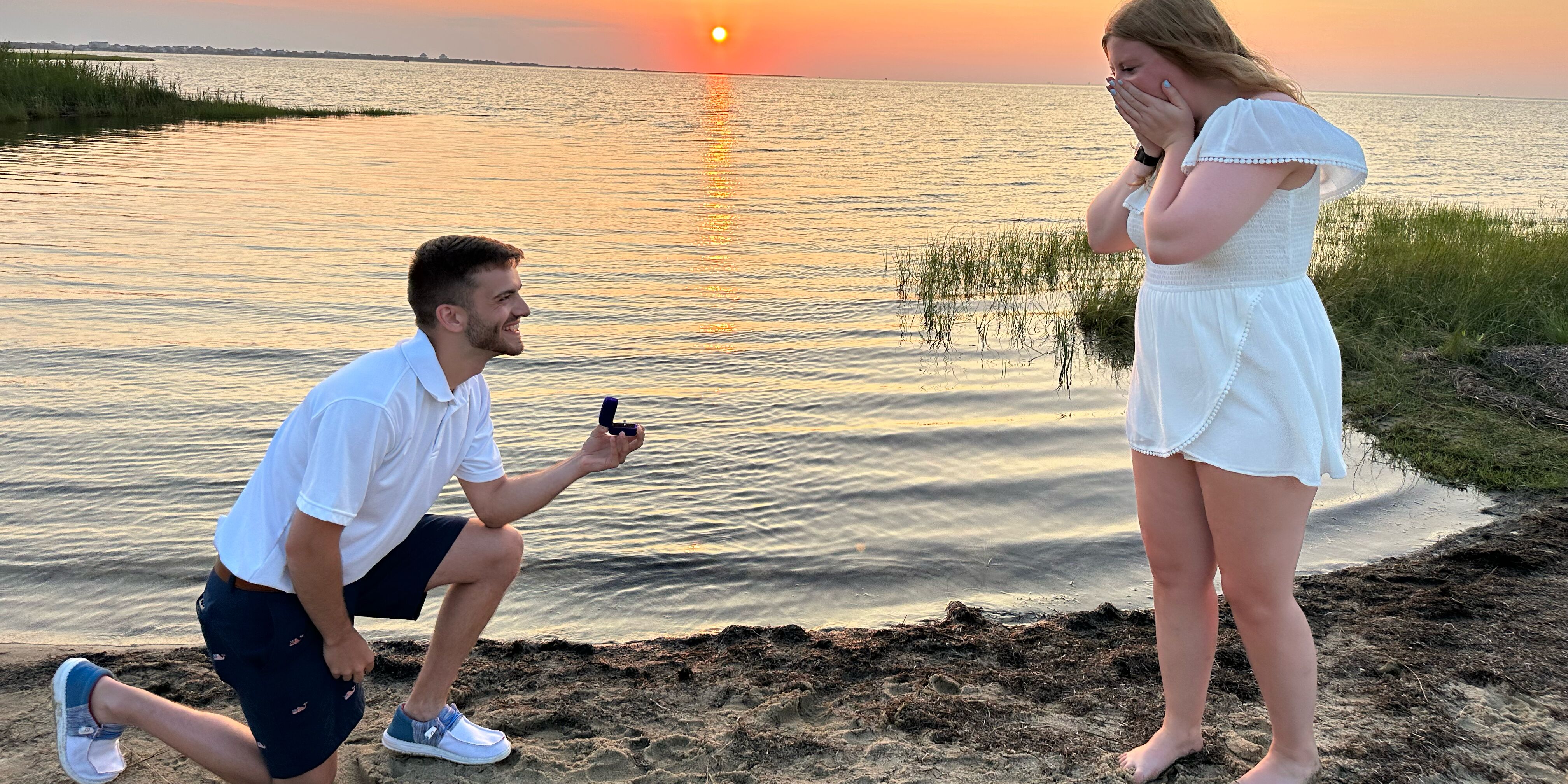Picture of The Proposal