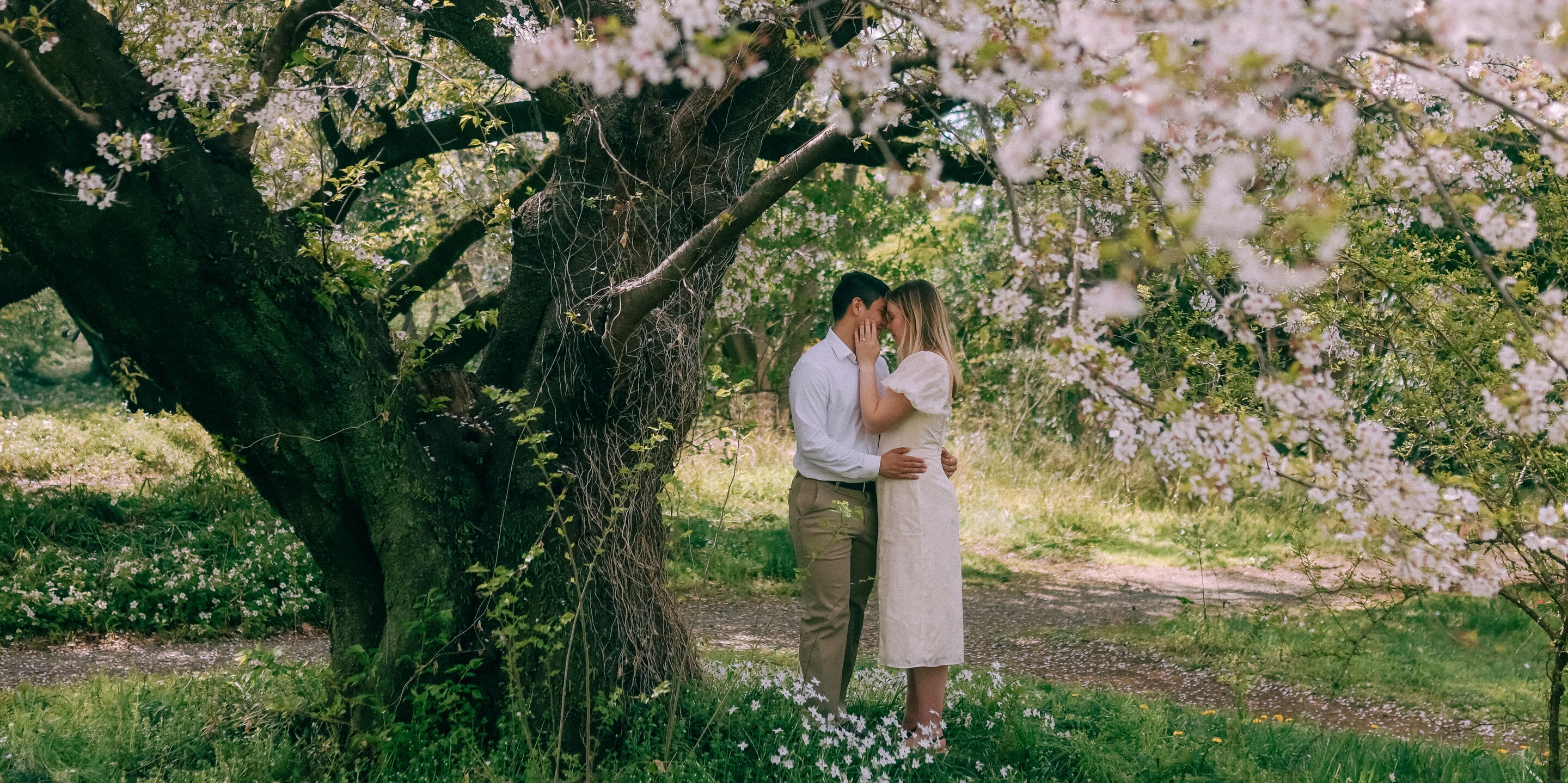 Katie & Nathan Home Page Banner