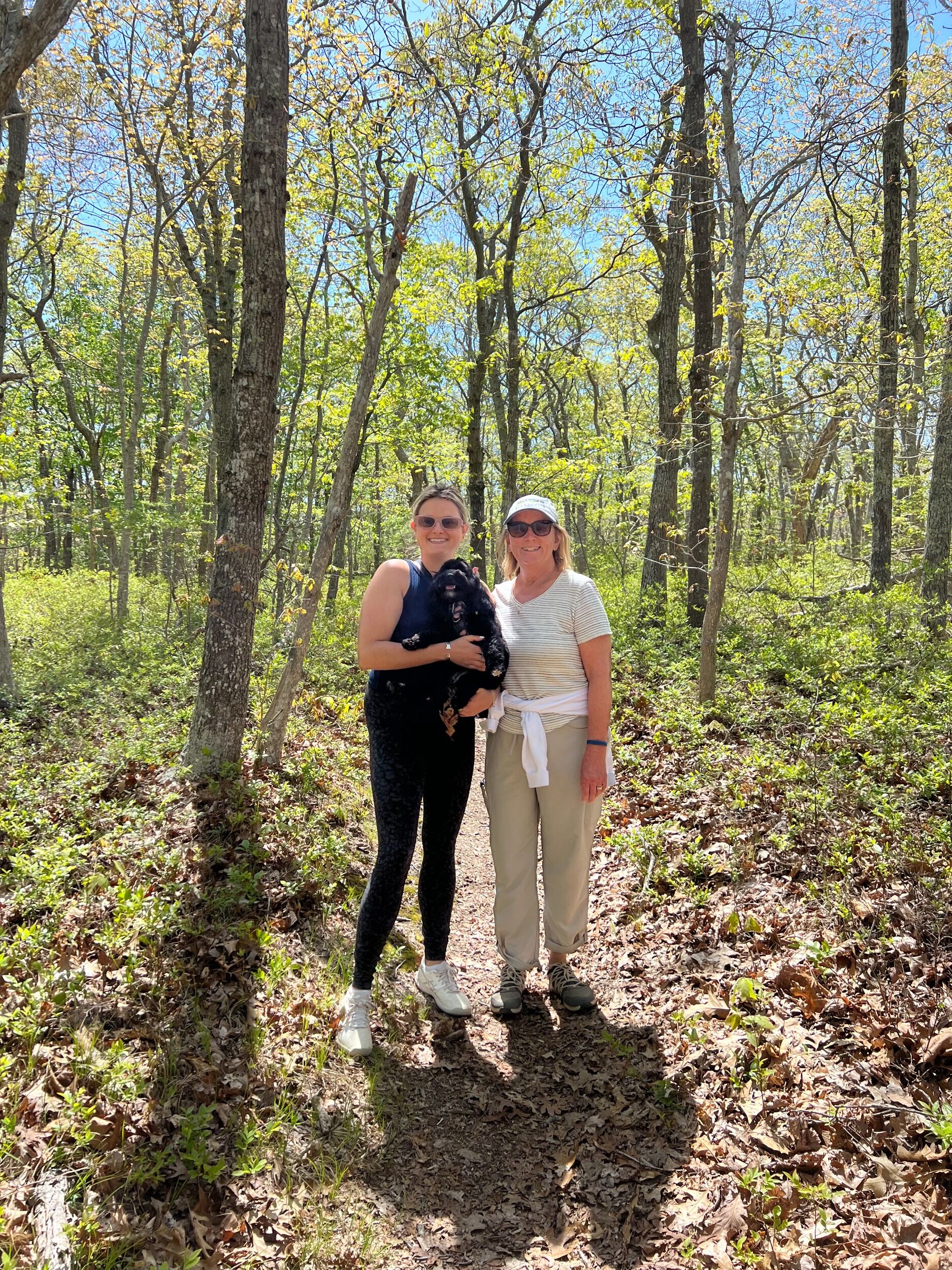 Picture of Hiking 