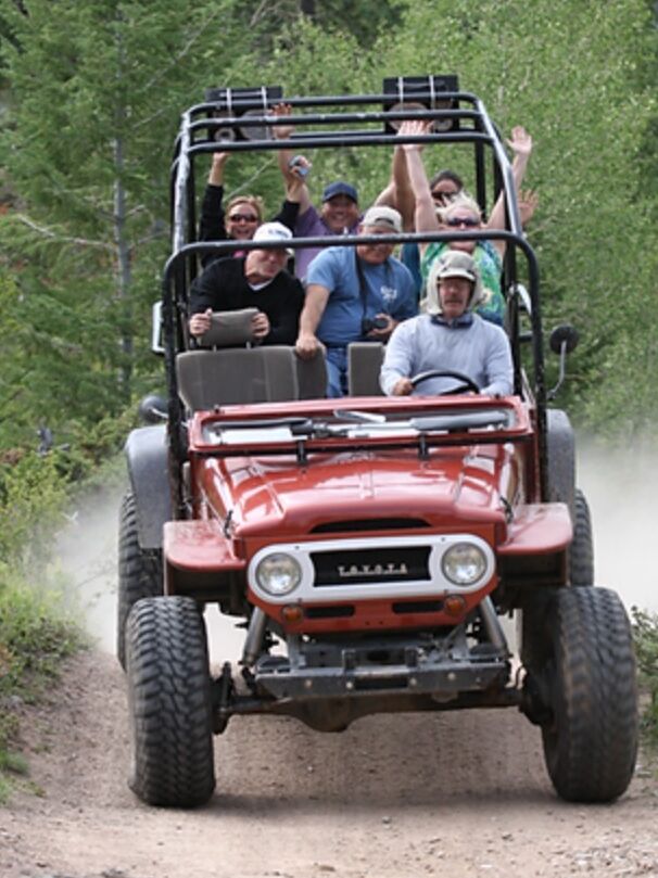 Picture of Wildside 4x4 Tours