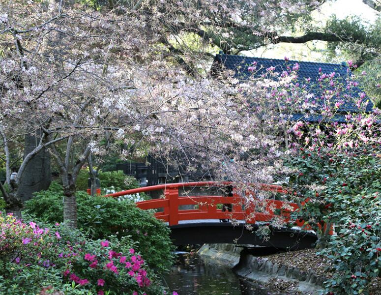 Picture of Descanso Gardens