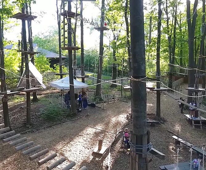 Picture of TreeRunner Grand Rapids Adventure Park