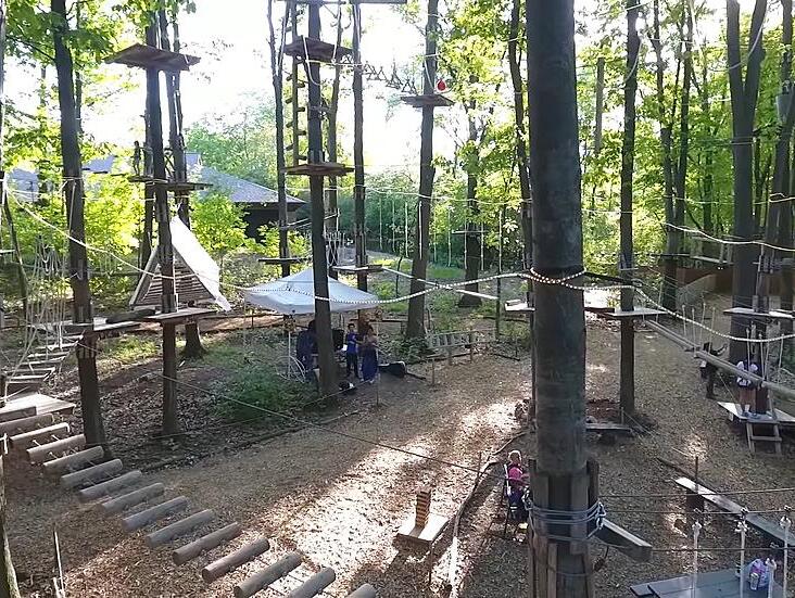 Picture of TreeRunner Grand Rapids Adventure Park