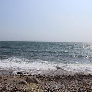 Gallery Photo 8