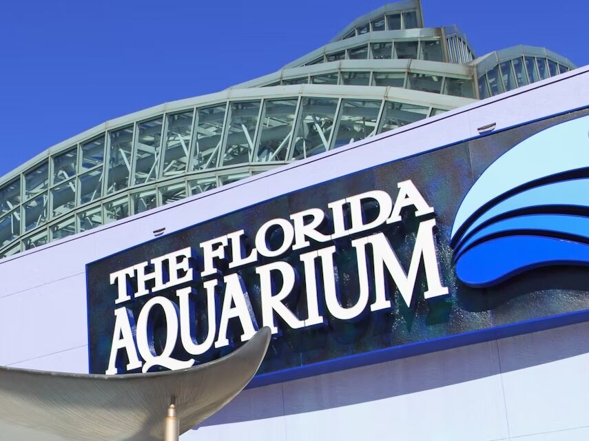 Picture of The Florida Aquarium