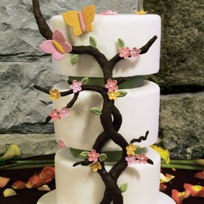 The Cake