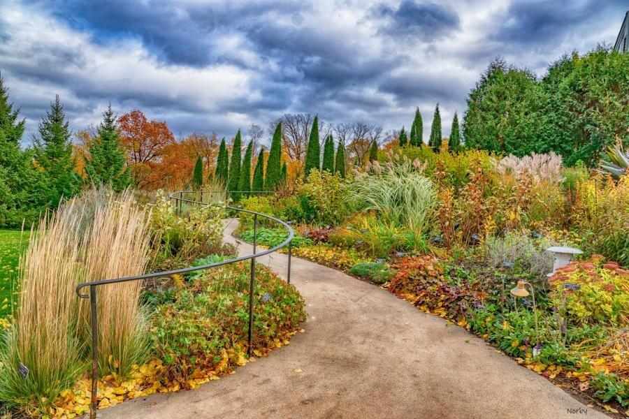 Picture of Minnesota Landscape Arboretum