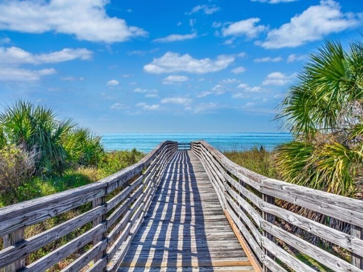 Picture of Honeymoon Island State Park 
