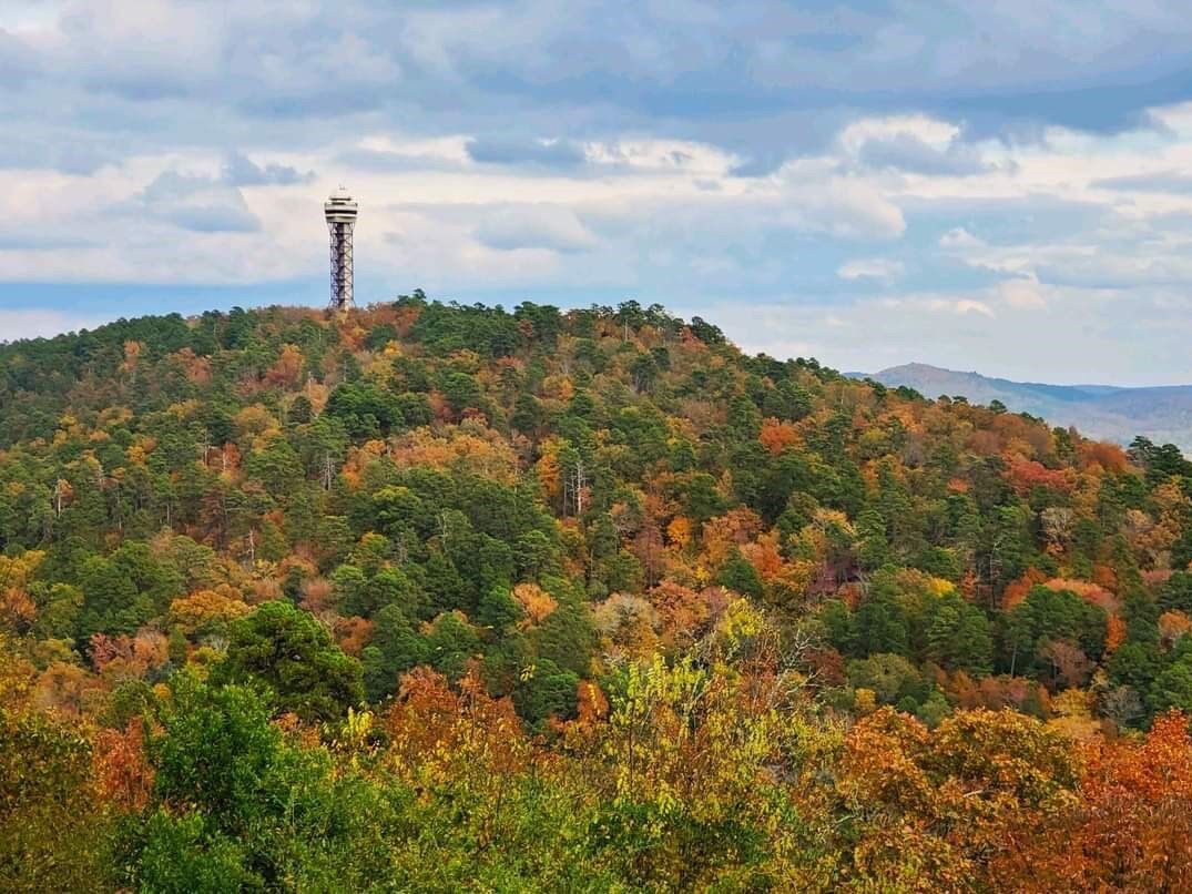 Picture of Hot Springs Mountain Tower