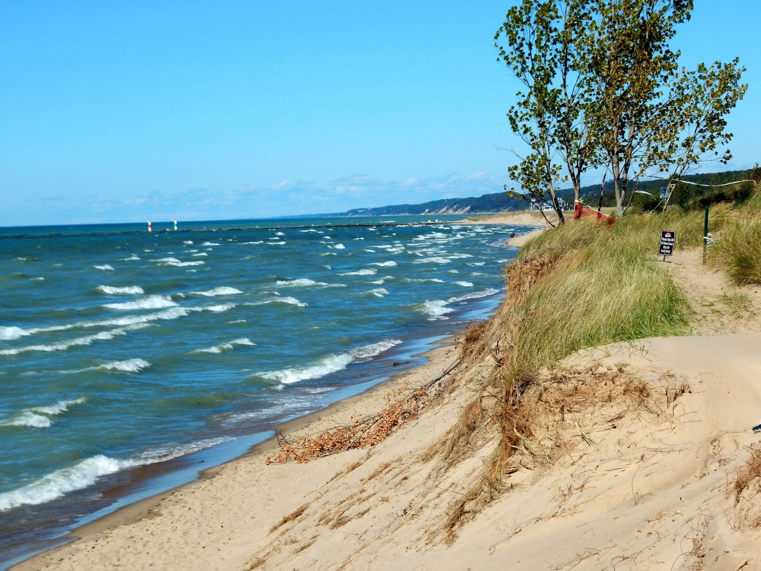 Picture of Oval Beach