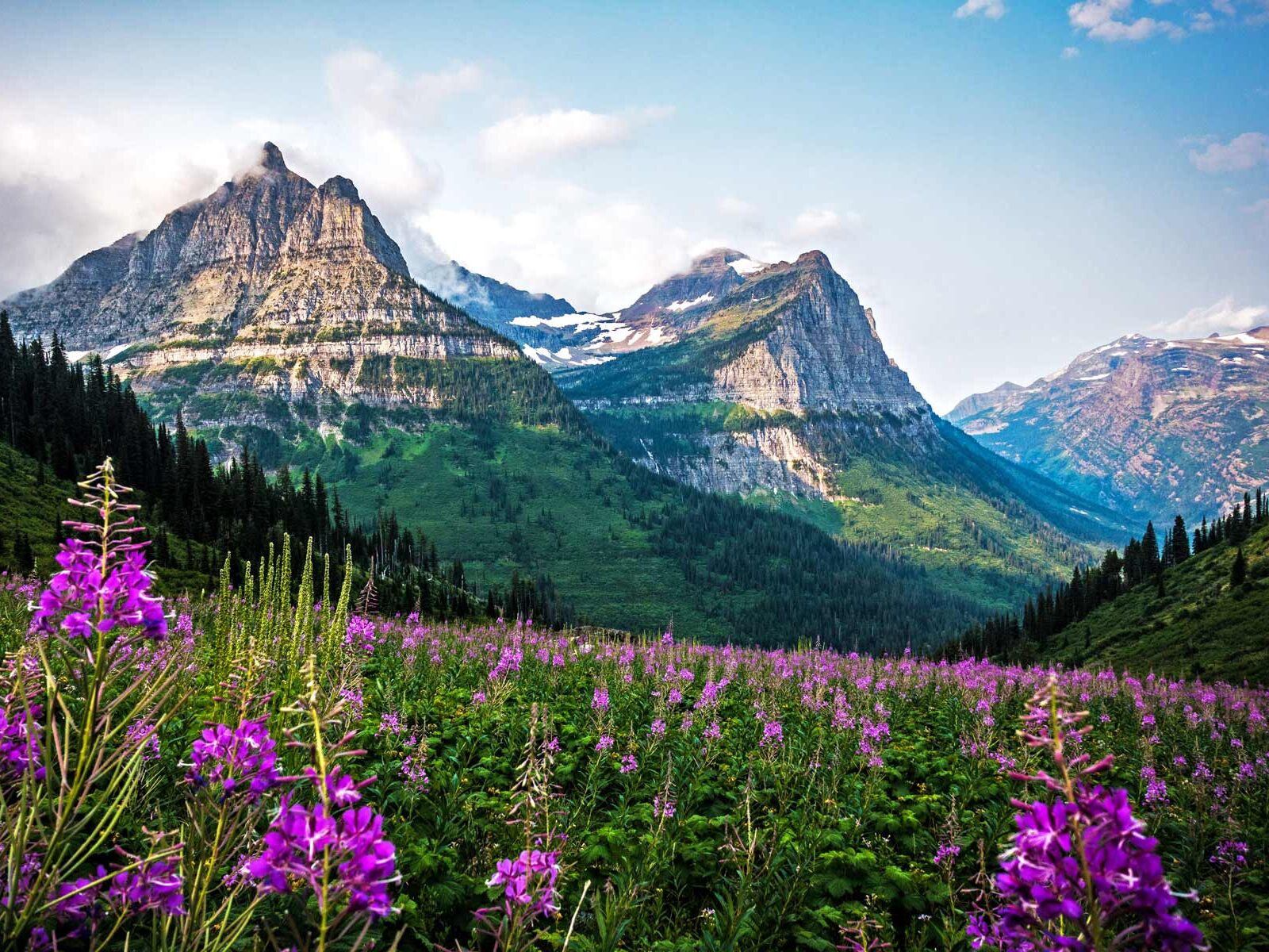 Picture of Glacier National Park