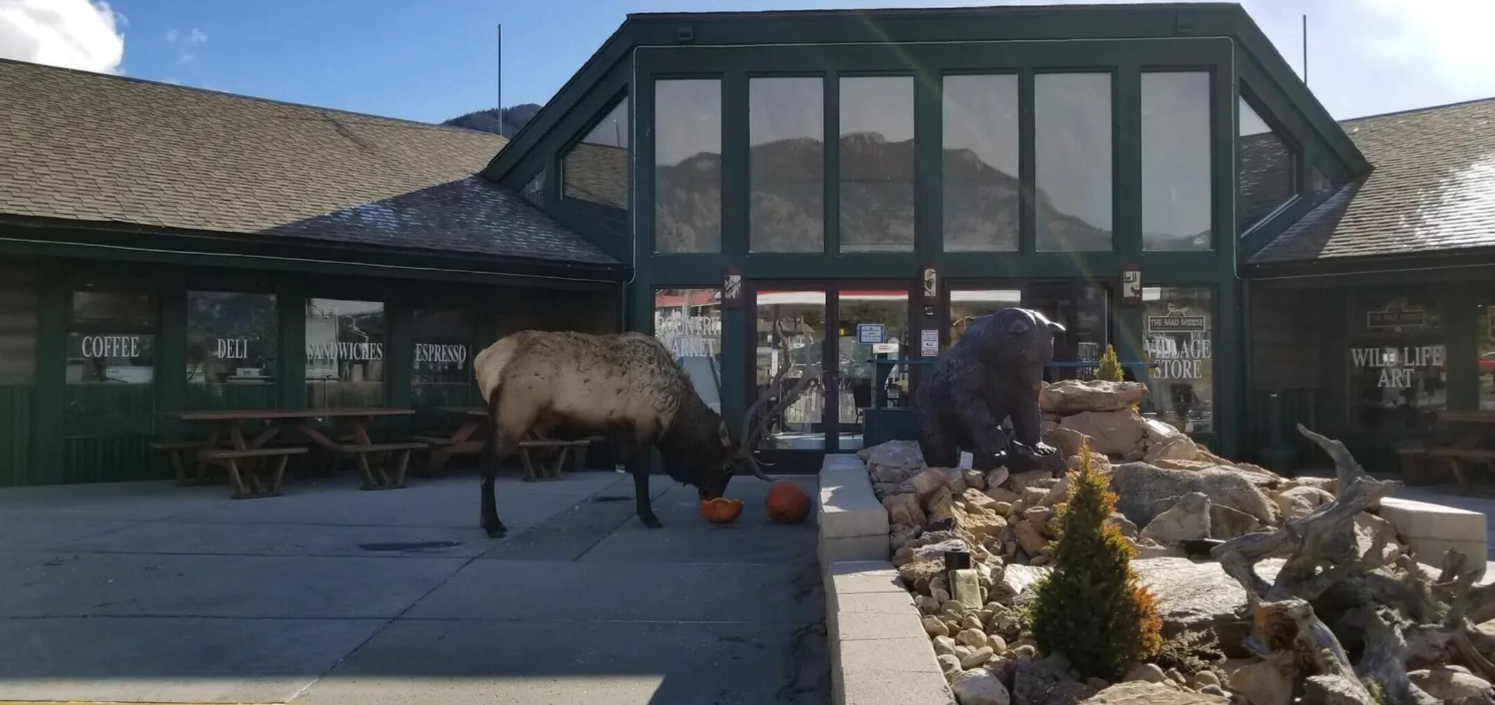 Picture of The Country Market of Estes Park