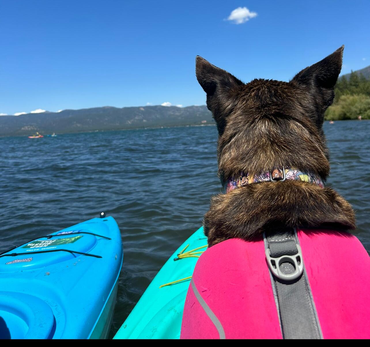 Picture of Kayaking/ Boating/ PaddleboardIng 