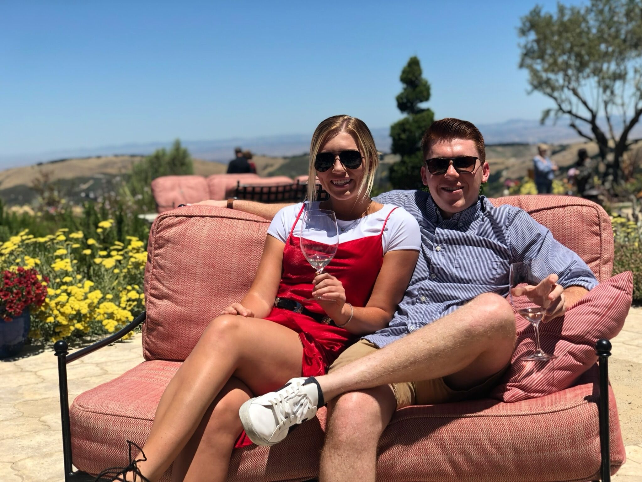 Picture of Go wine tasting