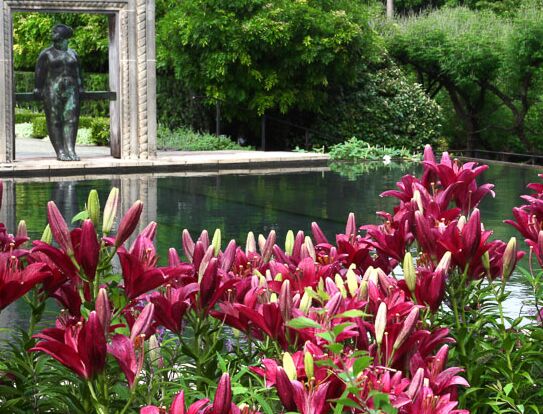 Picture of Dallas Arboretum & Botanical Garden