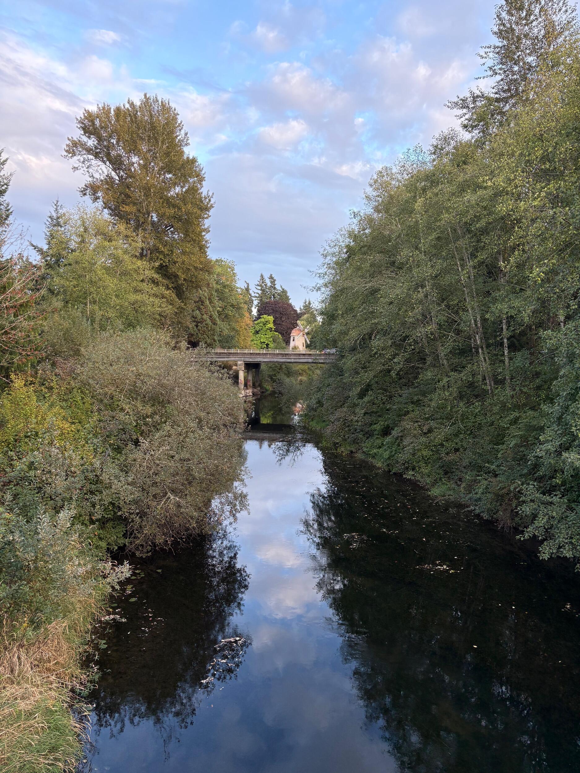 Picture of Marymoor Park