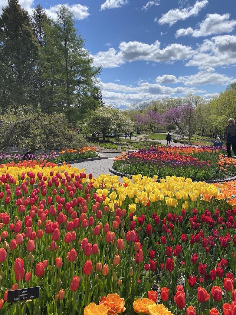 Picture of Minnesota Landscape Arboretum