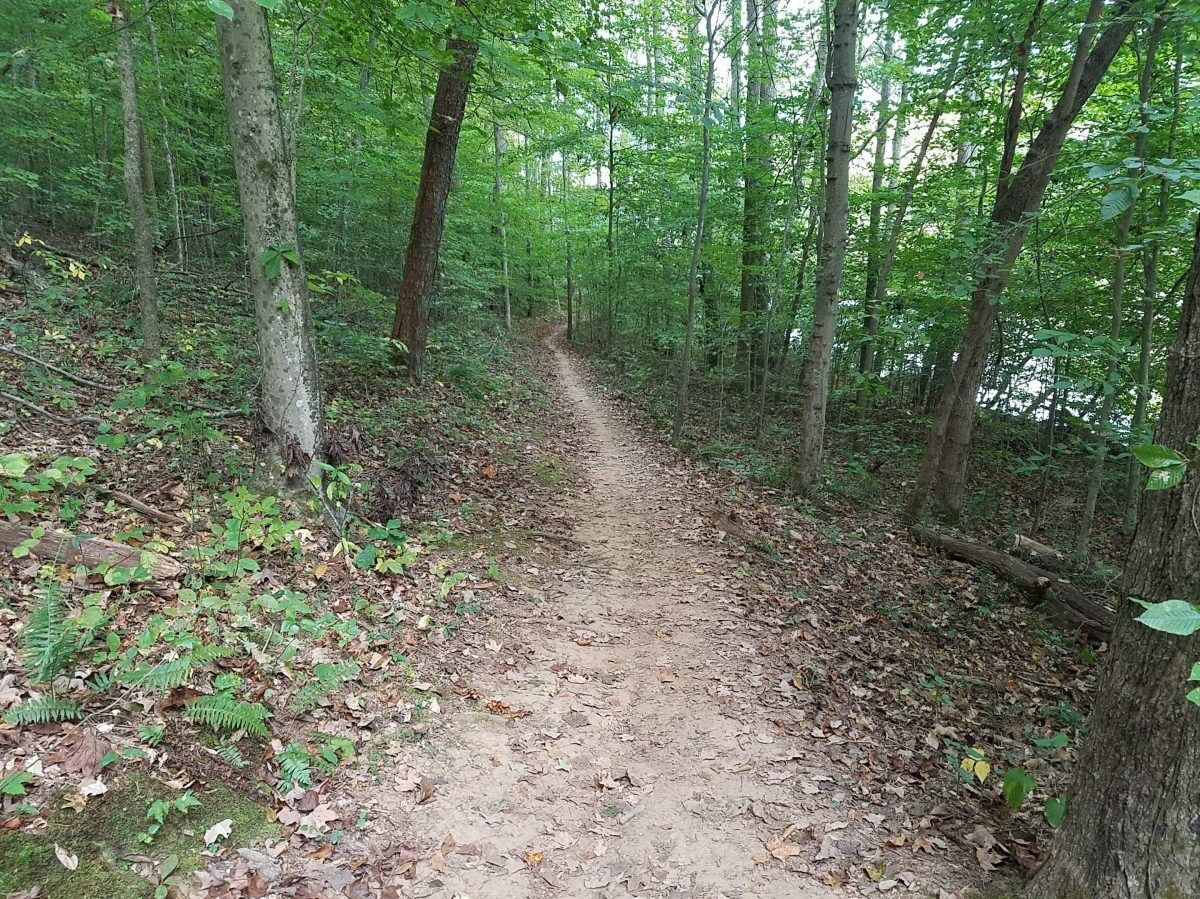 Picture of I.C. King Park