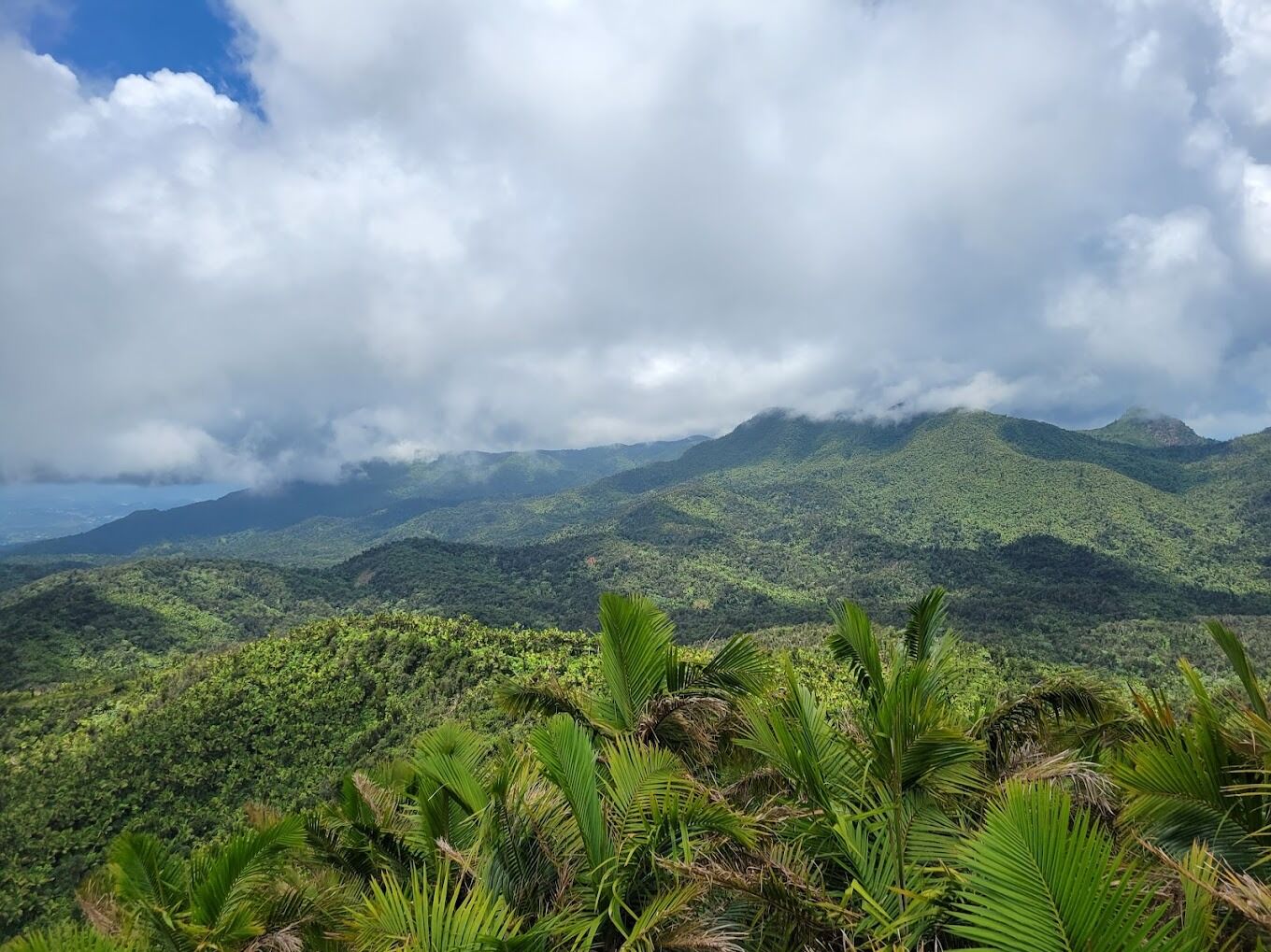 Picture of El Yunque National Forest