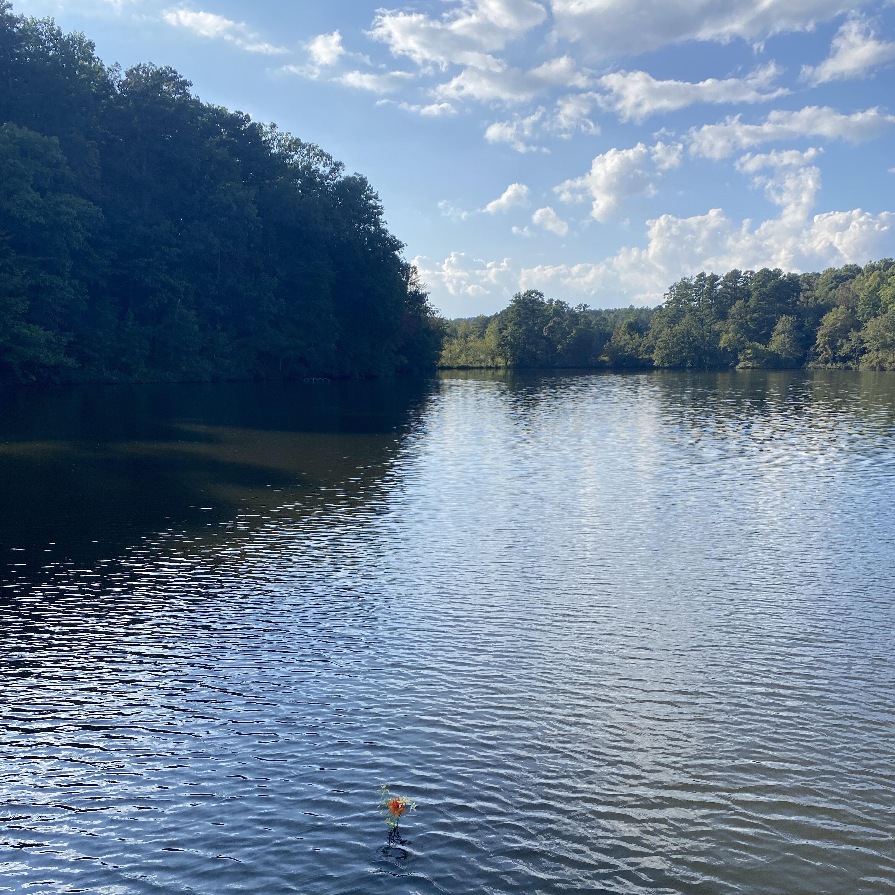 Picture of Lake Toccoa