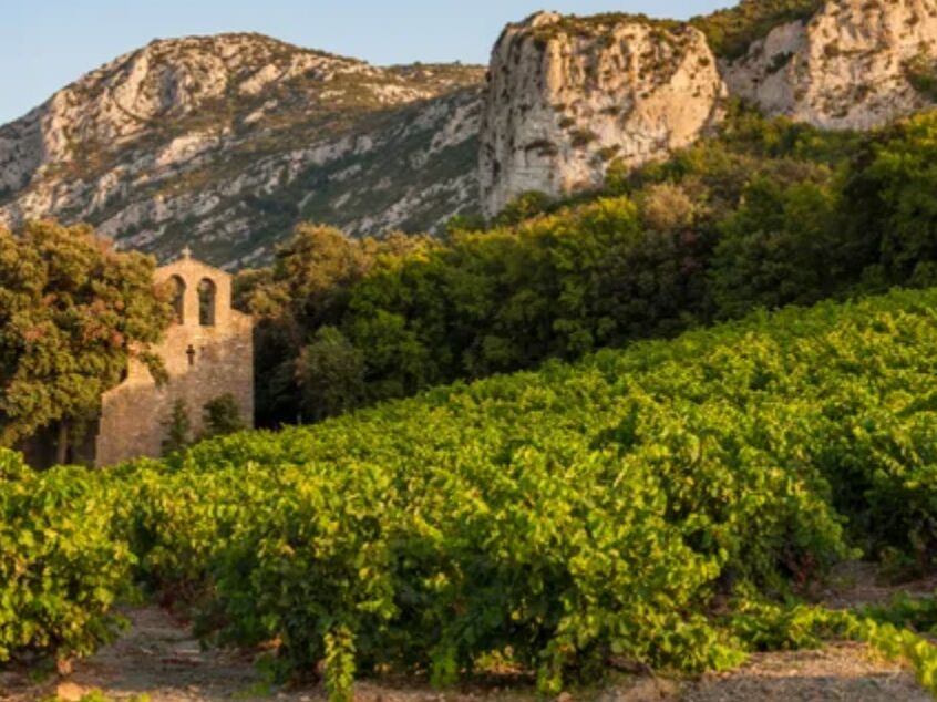 Picture of Le Vin