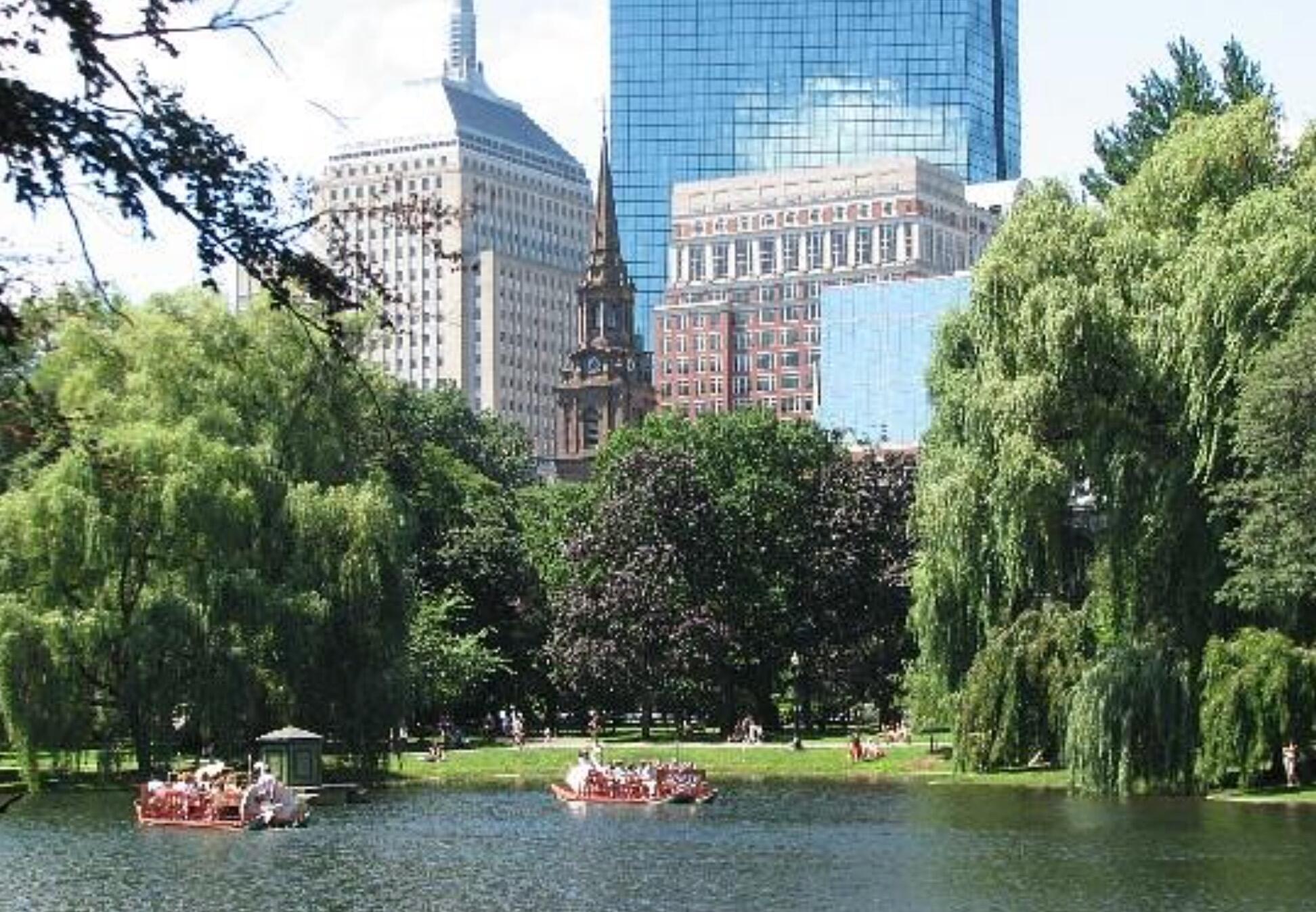Picture of Boston Common
